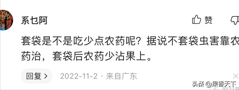 你不买免套袋苹果，是因为穷，还是因为“药残”？