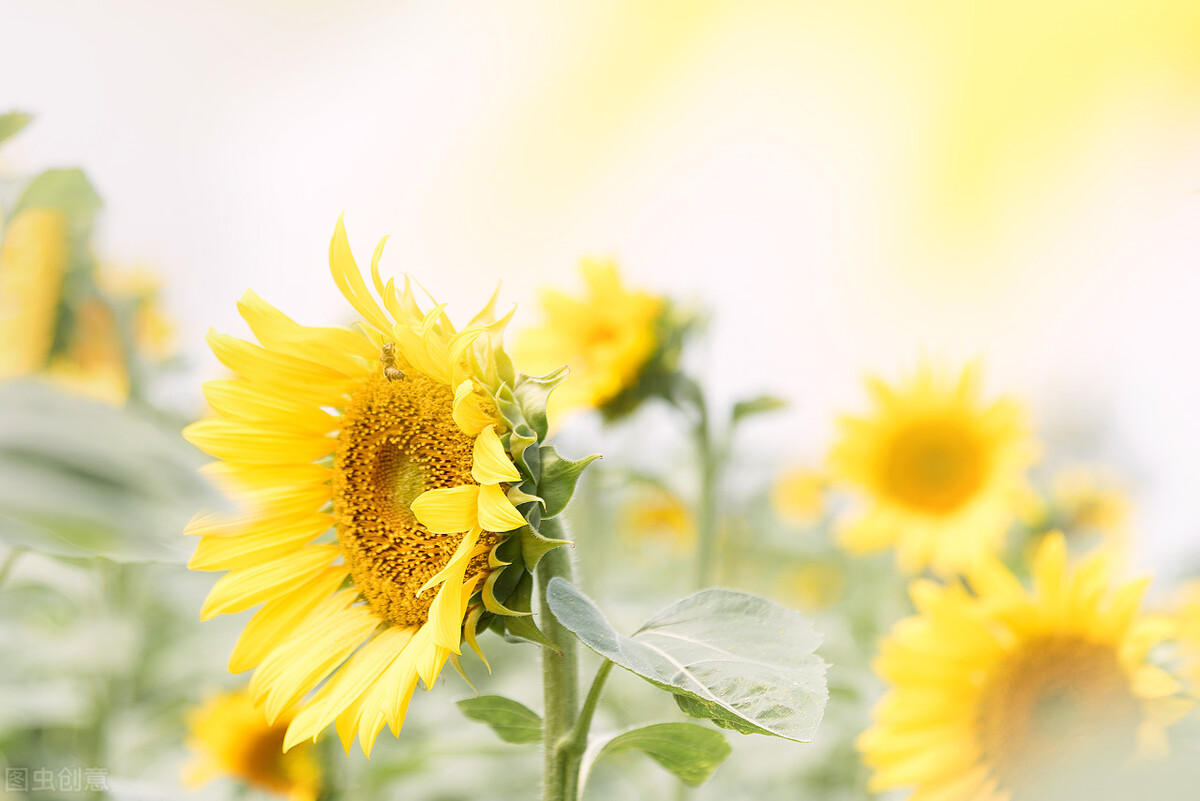 三岁就被父母送人然后又跑回来了,七岁被父亲送人