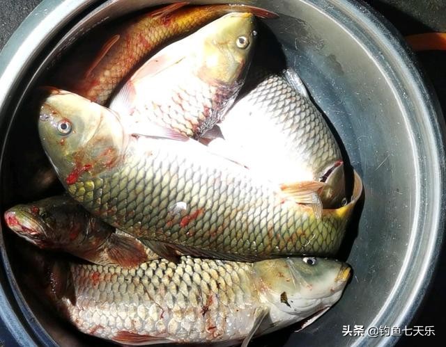 男子炫耀钓到甲鱼后续,一男子炫耀打猎的结果