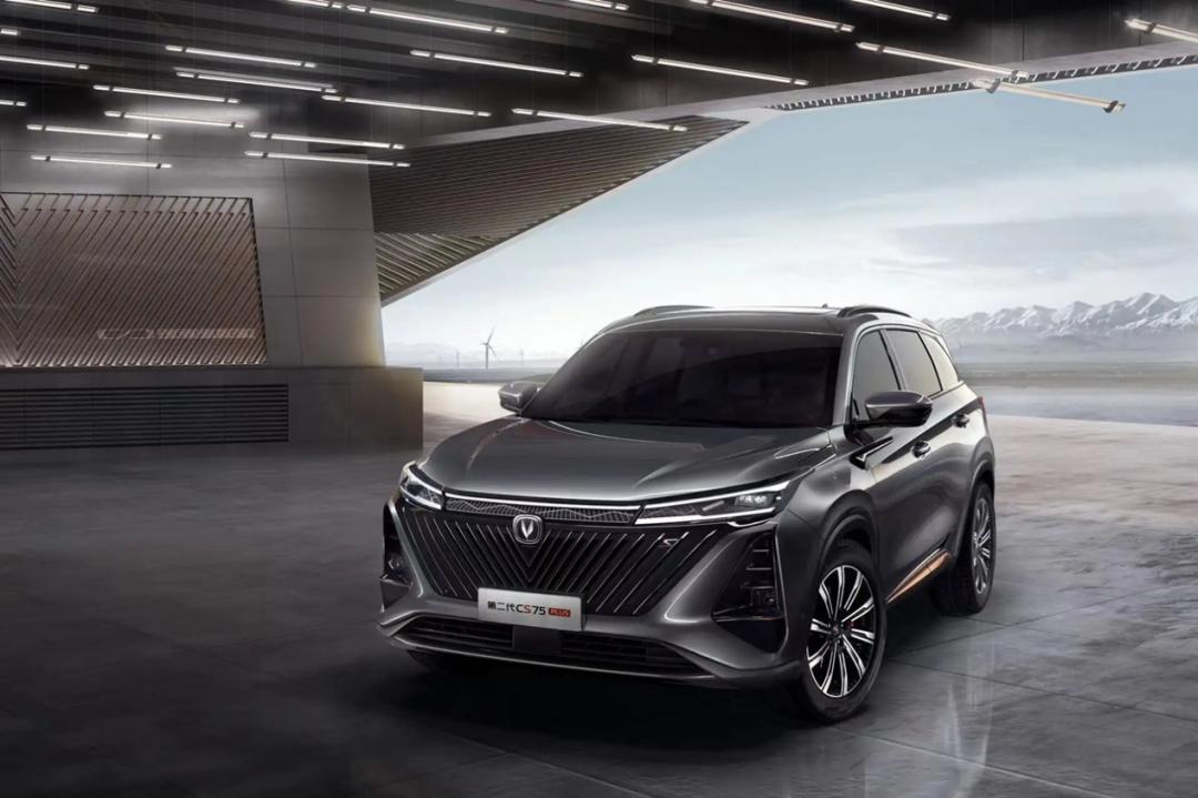 世界杯决赛中国对战巴西,世界杯决赛中国vs巴西