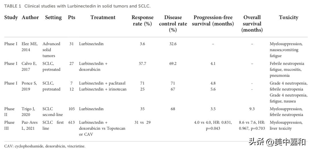 小细胞肺癌的化疗药物多少钱,小细胞肺癌早期怎么确诊