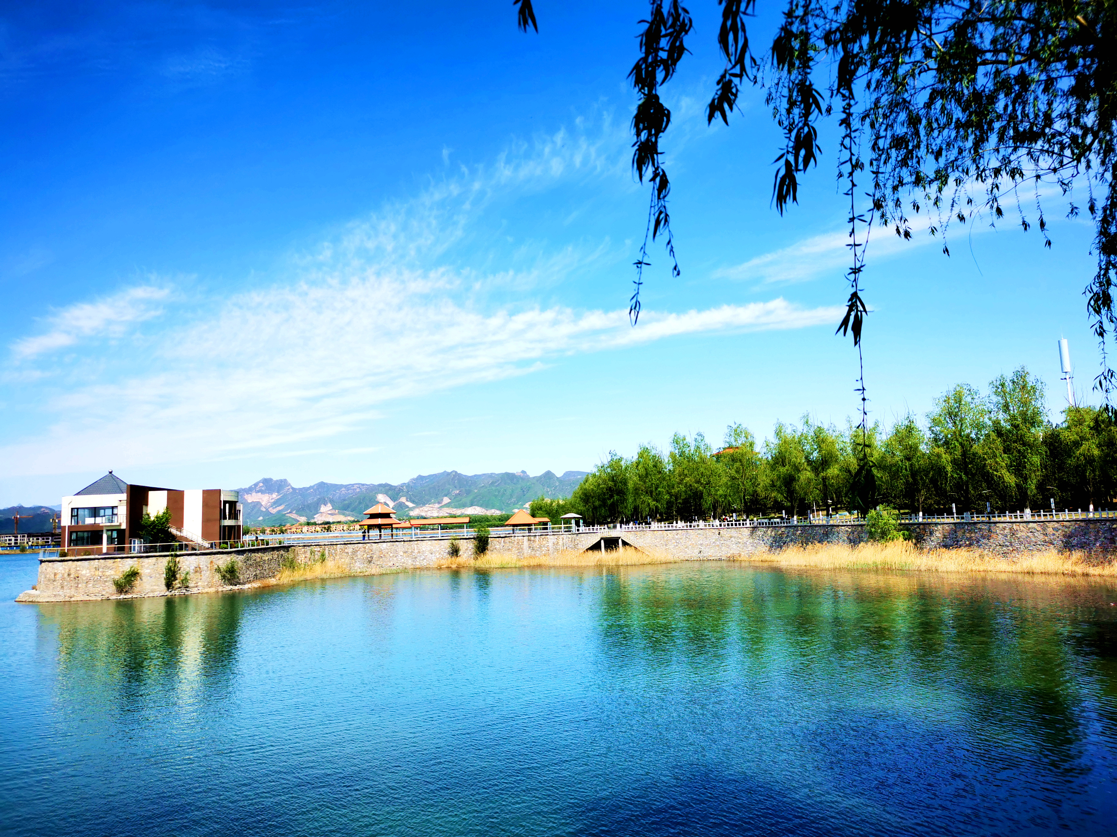 青龙湖公园网红打卡,丰台王佐青龙湖公园门票