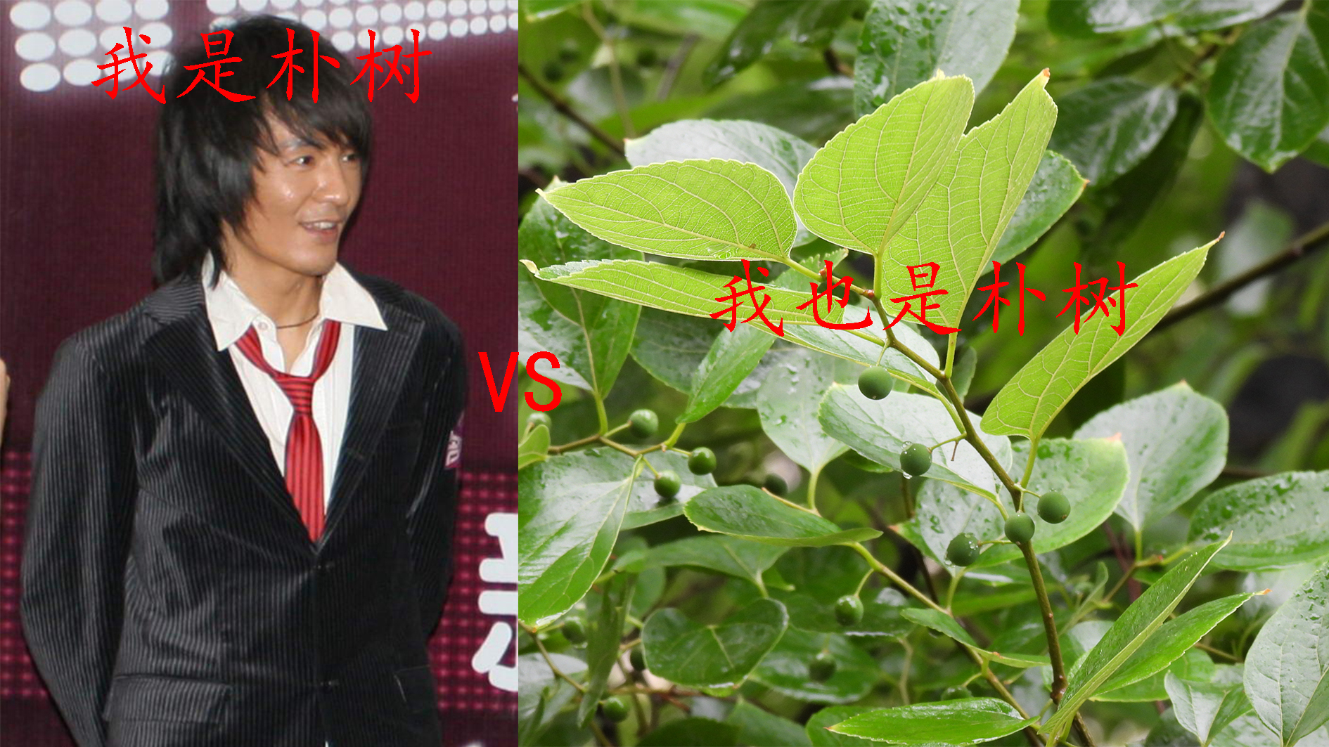 读音最多的十个汉字,史上最全汉字读音大全