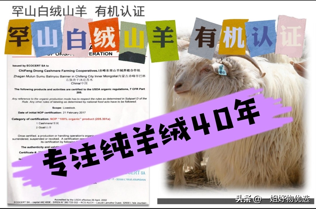 羊绒围巾多少钱一围,daks羊绒围巾一般多少钱一条