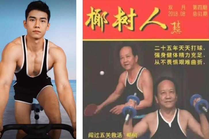 大胆椰树！谁给你胆子搞擦边的？哦，是我们呀…