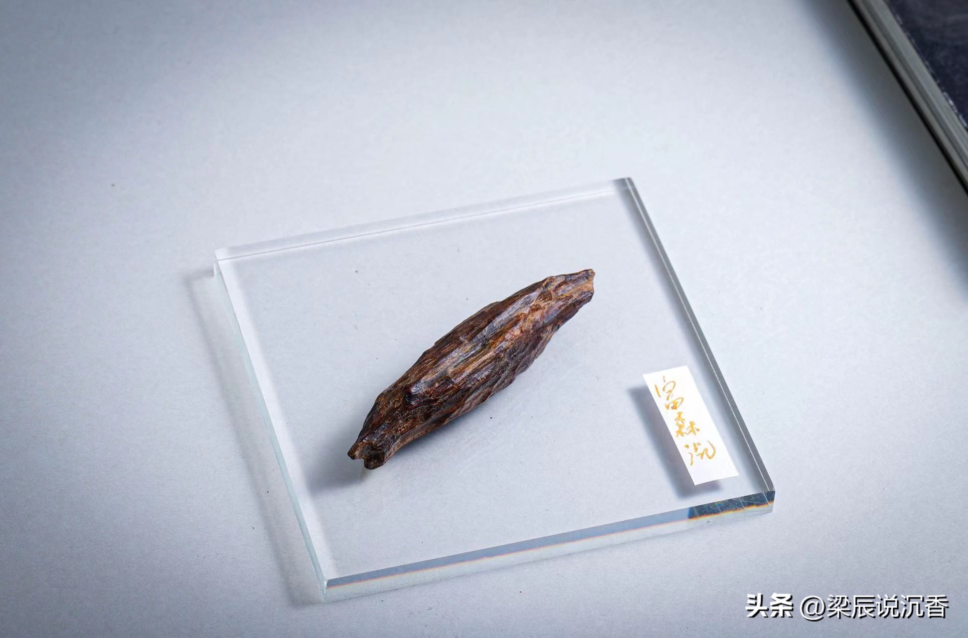 如何正确品沉香,沉香结缘的秘密