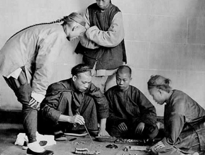 活了两亿年的虫子,活了亿万年的虫子