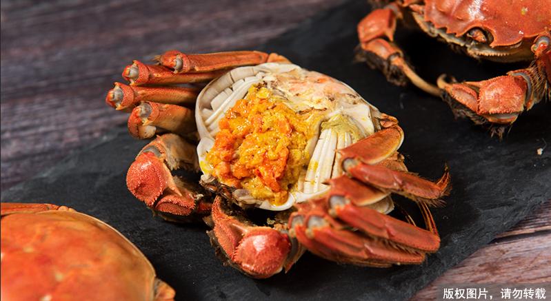 死的螃蟹到底能不能吃,怎样判断死螃蟹能否吃