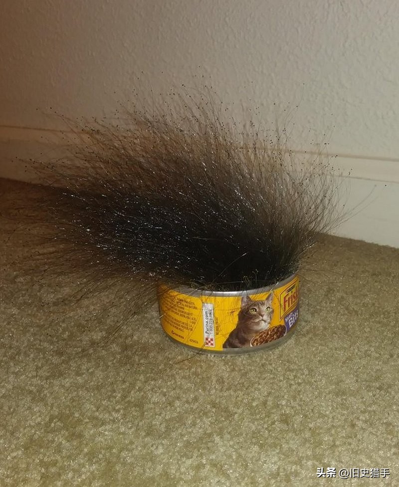 20张照片霉霉,25张令人震惊的图片