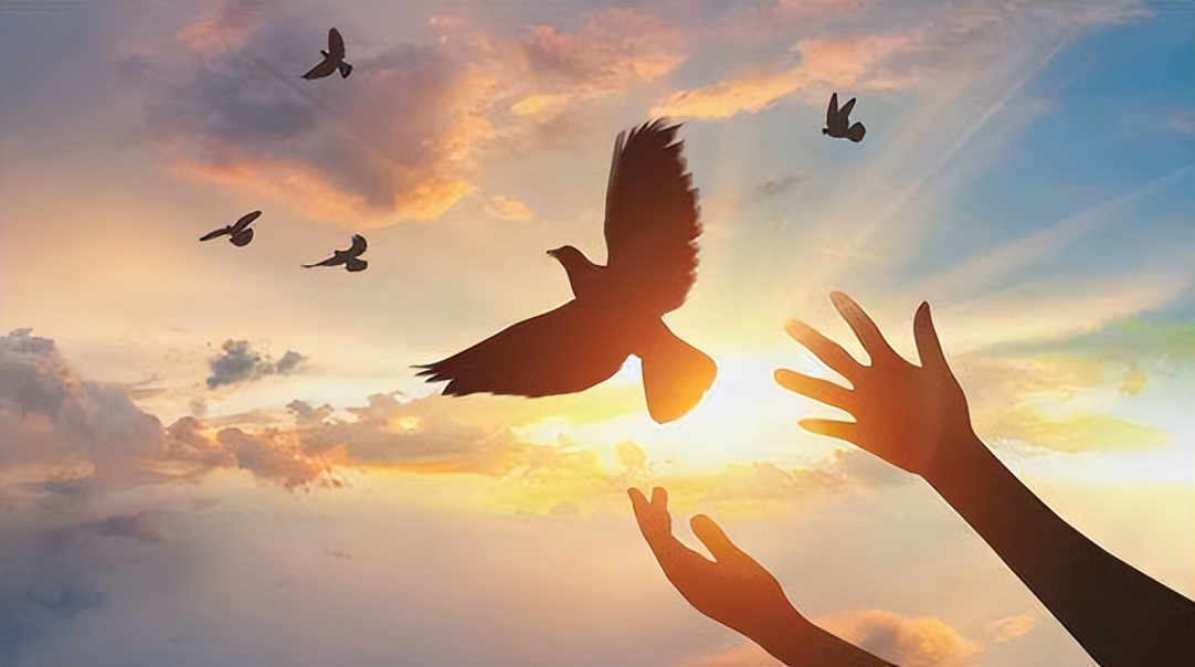 美国专家说中美各有五方面优势,美国专家说美国面对中国几个优势