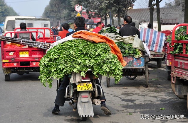 穷人的生活你根本无法想象配音,穷人的日子你根本无法想象