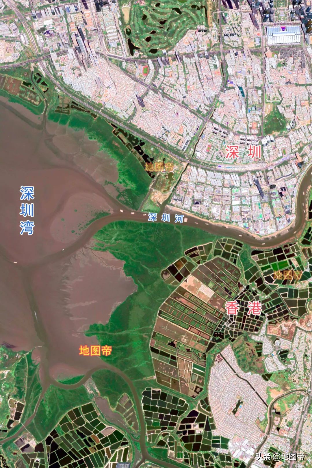 深圳大学为什么富,深圳大学最近发展如何