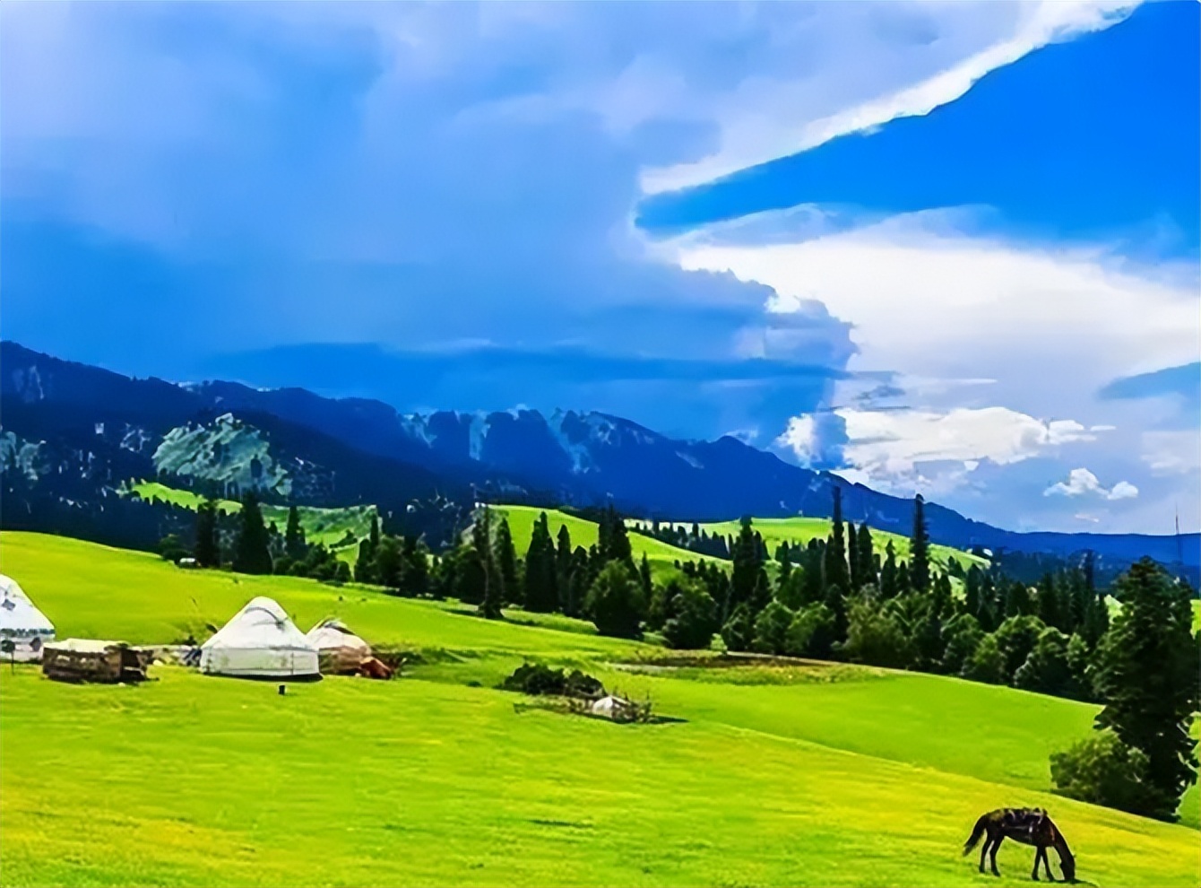 蒙古国从草原变成荒漠,蒙古国离开中国后的发展