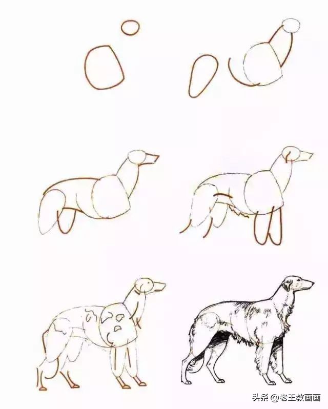 儿童简笔画入门慢教程零基础,2分钟教会孩子简笔画赶紧学起来