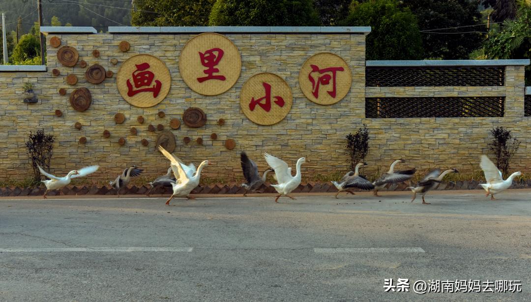 长沙周边乡村美出新花样！非洲“小小国”、网红鱼鳞坝，每一个都超想去