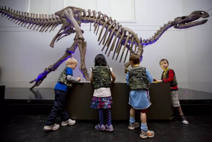 晶弘led玻璃,晶弘光电玻璃