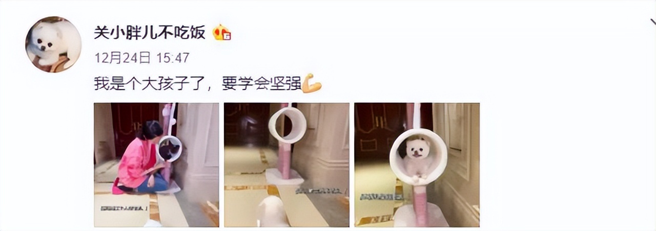 鹿晗关晓彤恋爱几年了,鹿晗关晓彤恋爱全过程