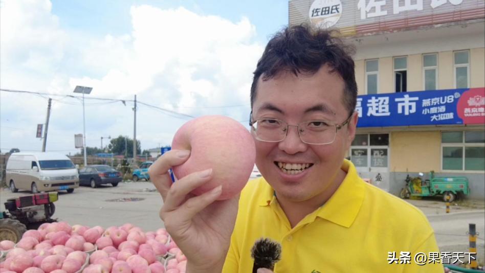 红将军苹果价格最新行情今天,红将军苹果价格