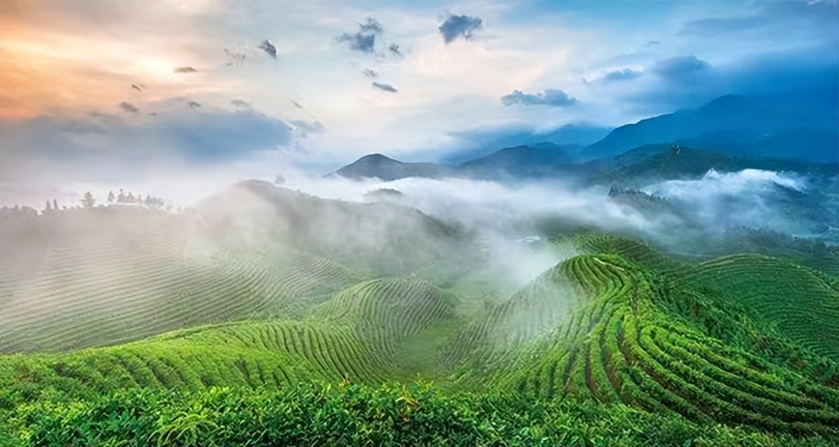 黄湾小镇避暑民宿,黄冈民宿自驾游