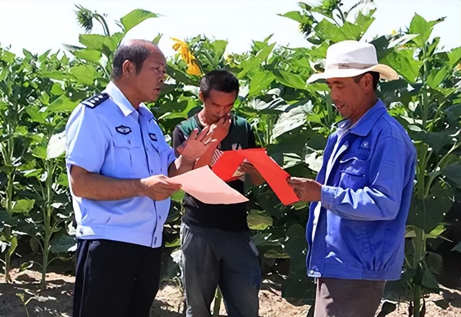 政策性农业保险怎么样,完善政策性农业保险机制