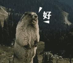 法考证书能补办吗,法考证件丢失可以补办吗