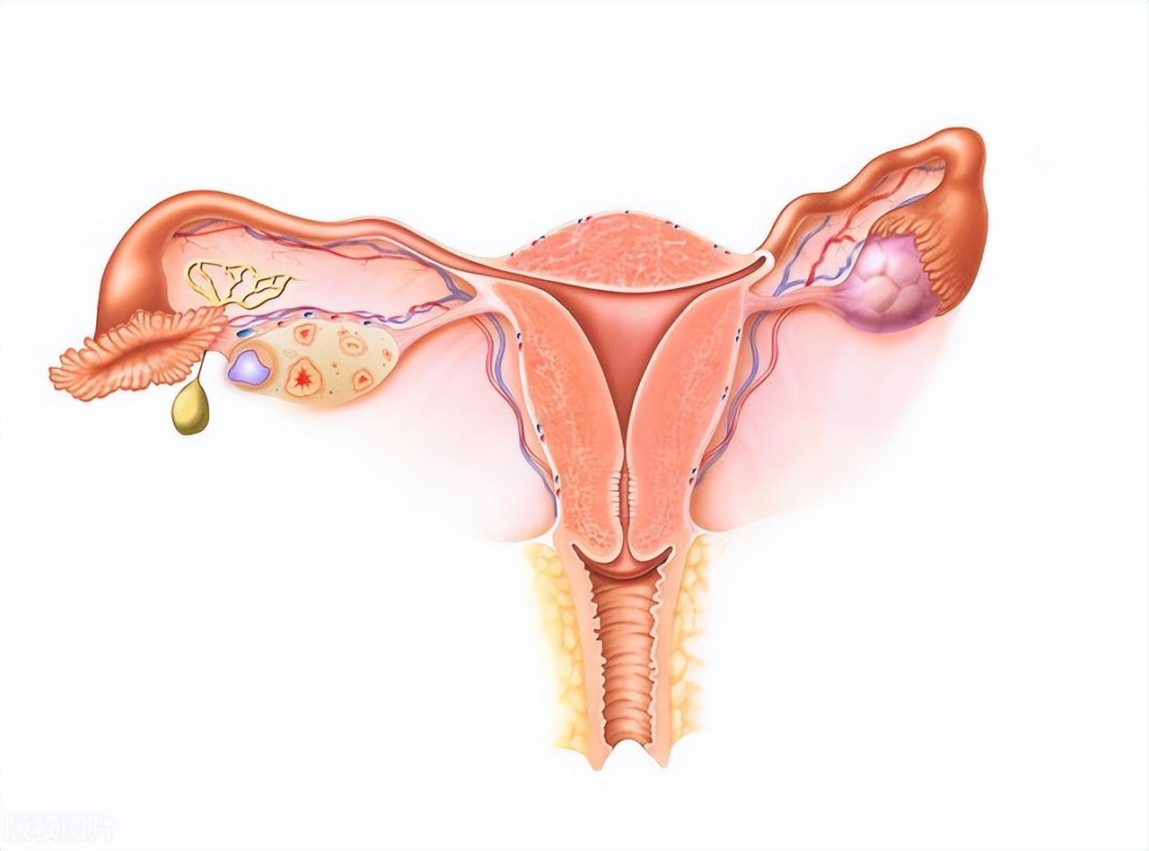 最伤害“阴道”的6大行为,你是否还在经常做?女生不要羞于了解