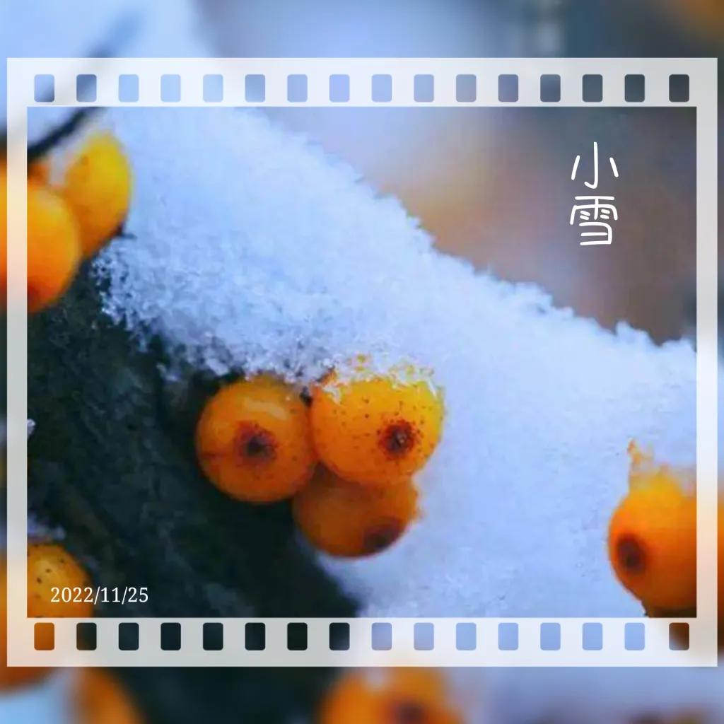 雄激素分泌旺盛是卵巢引起的吗,卵巢分泌少量雄激素的作用