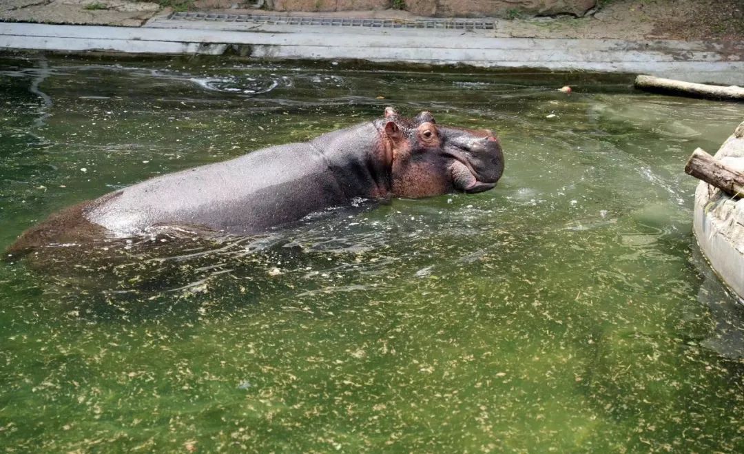 沈阳夏天纳凉旅游攻略,沈阳夏天旅游凉快的地方