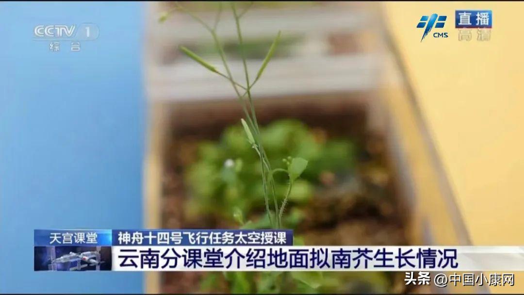 「小康头条」大揭秘!能入选“天宫课堂”的实验究竟有多神奇?