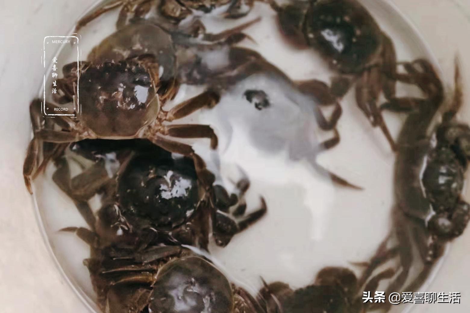 冬补鸡鸭肉没它好,肉质细嫩鲜美,炖一锅滋补又馋人,补虚又健体