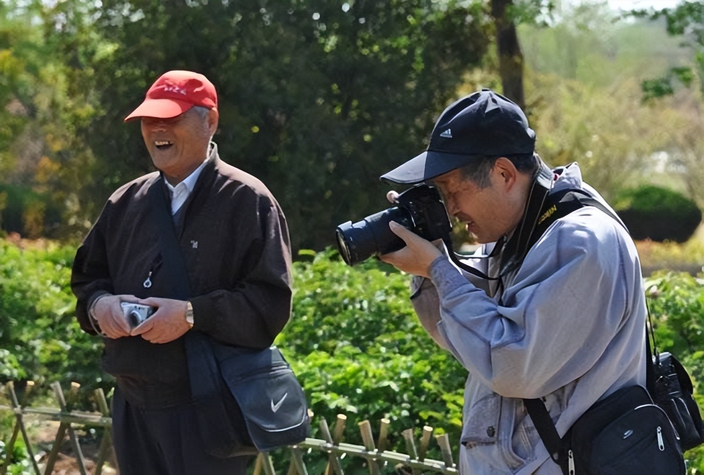 2023年养老金调整哪个省出政策了,2023年养老金调整平均能补多少