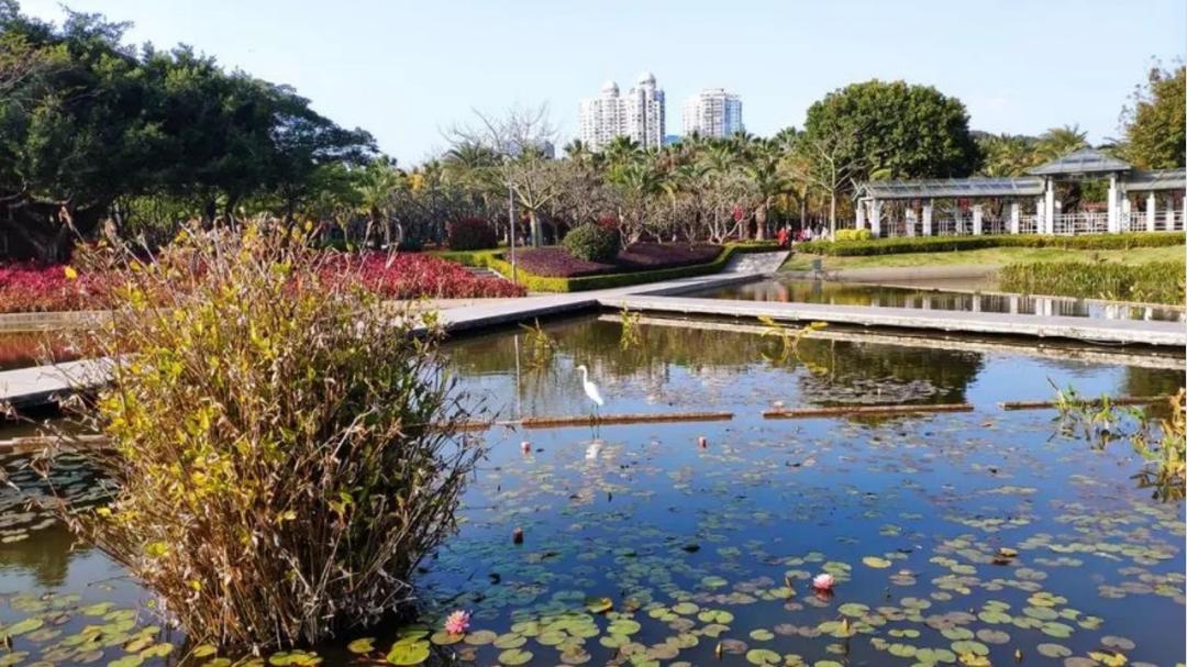 五一回到老家农村图片,五一回老家亲戚团聚