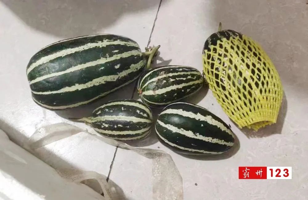 真长见识了！霸州街头买甜瓜，一层接着一层“大惊喜”