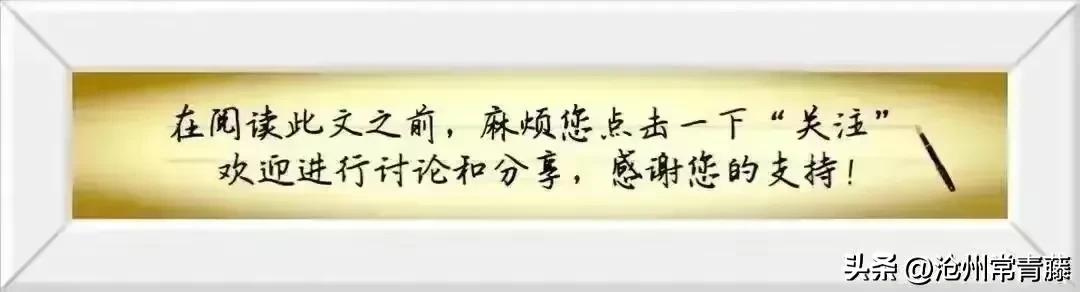 职场最准的定位方法有哪些,初入职场职场定位最重要