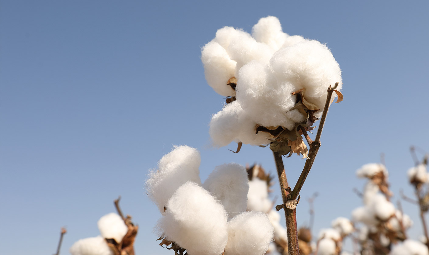 全棉时代纱布浴巾测评好用吗,全棉时代浴巾纯棉100%全棉第一名