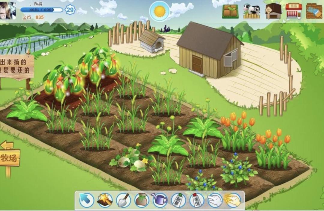 三个宅男开的公司,三个宅男玩生存游戏