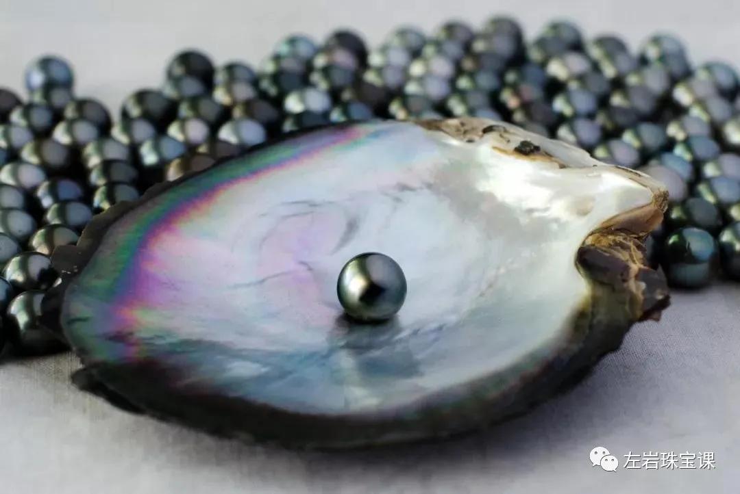 大溪地极强光珍珠鉴赏,优化过的大溪地黑珍珠
