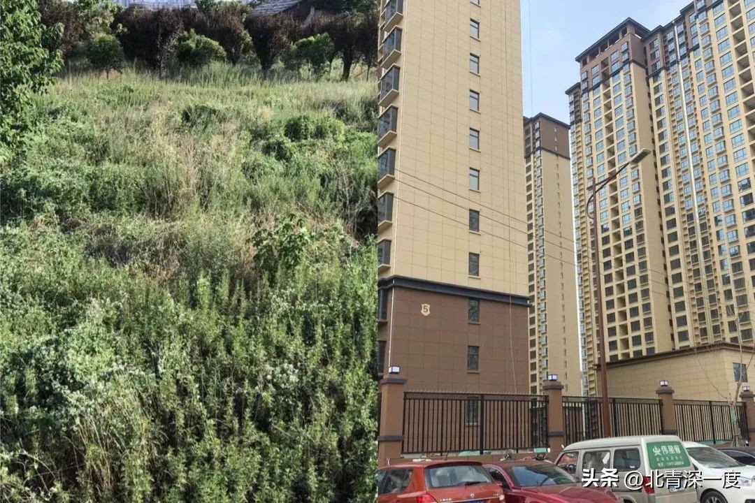 男孩被母亲抛弃四处流浪,男孩被母亲遗弃独自生存2年