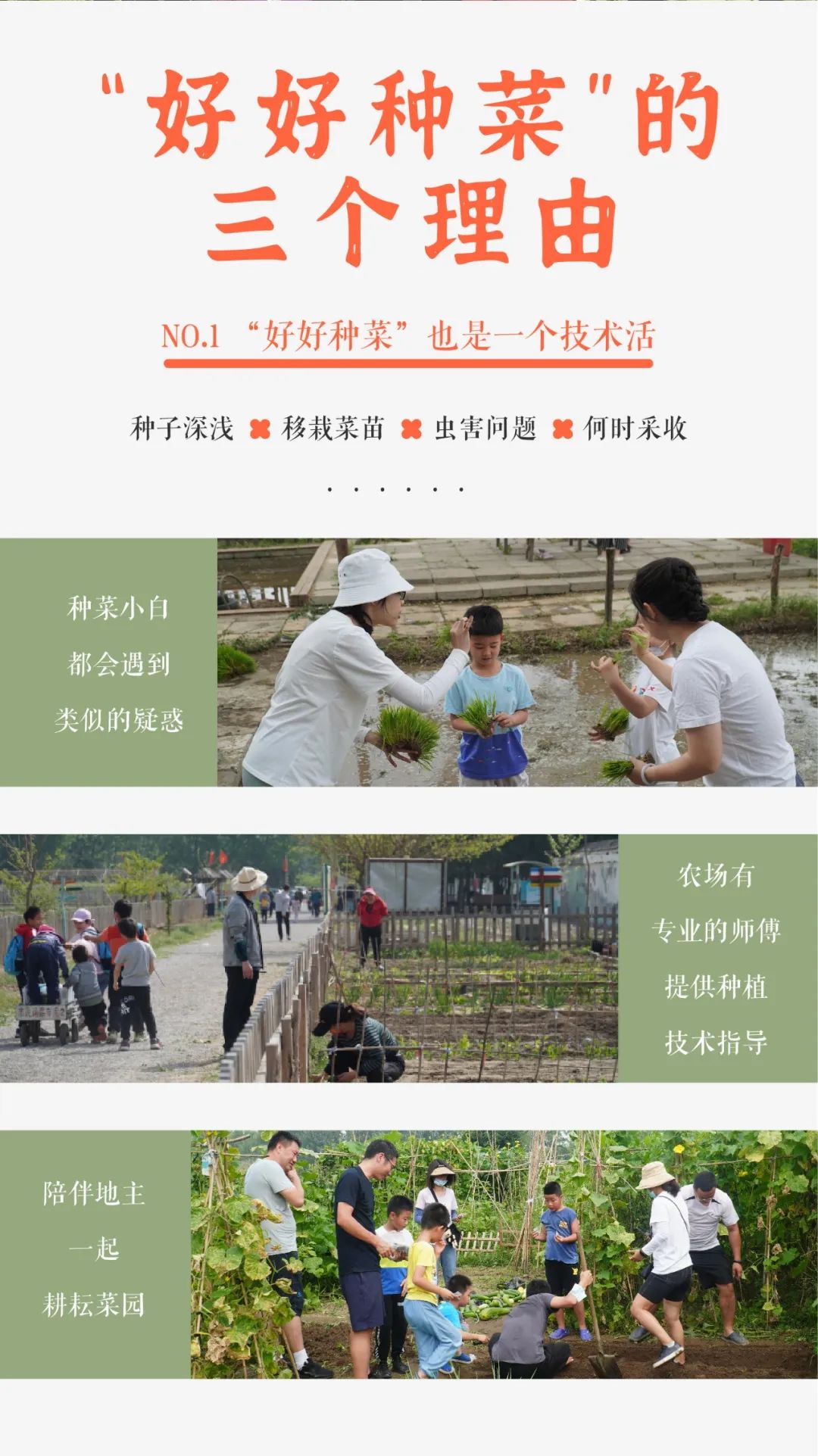 小毛驴农场,小毛驴农业园