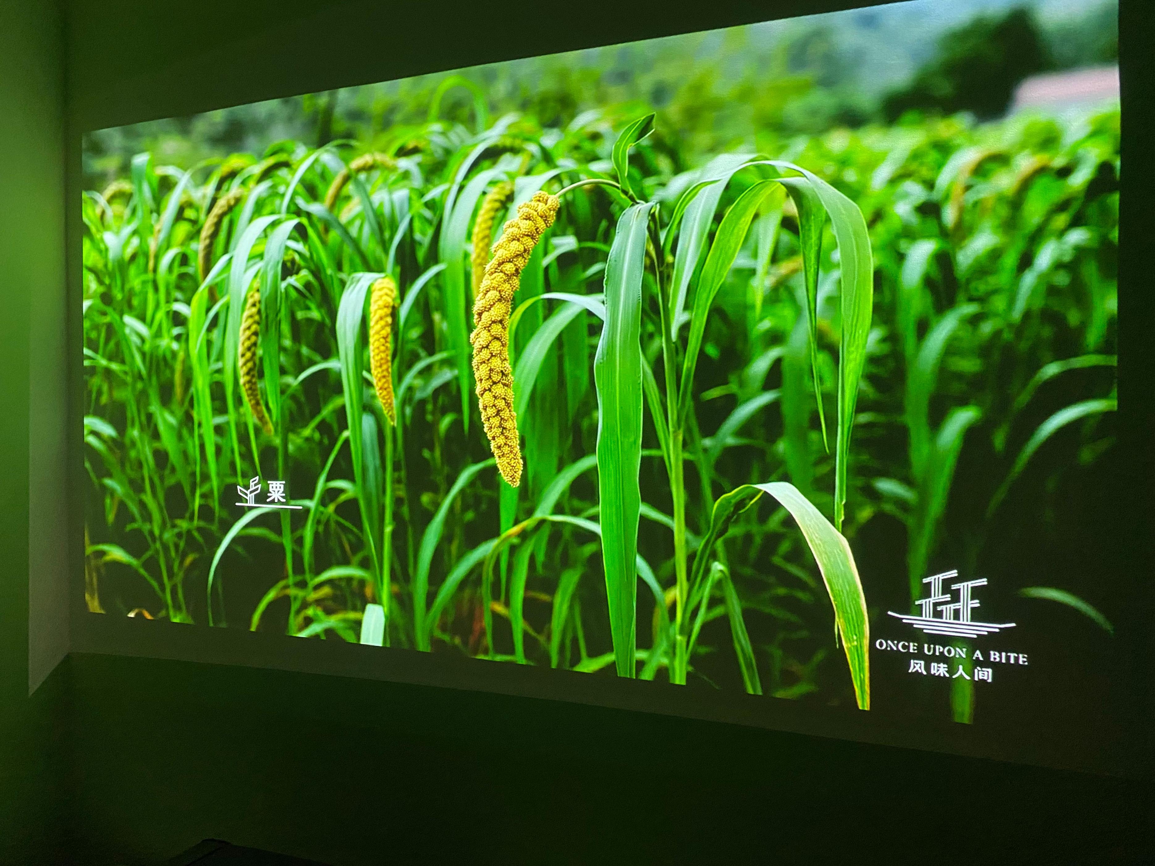 aoct30超短焦投影仪测评,aoct30激光投影怎么样