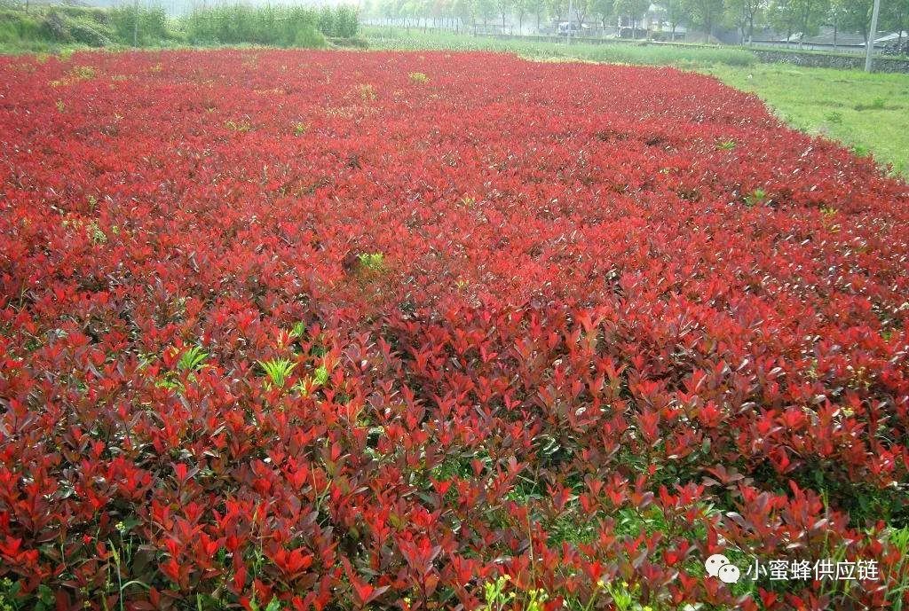 降低中小企业的经营成本,降低企业成本减轻企业负担