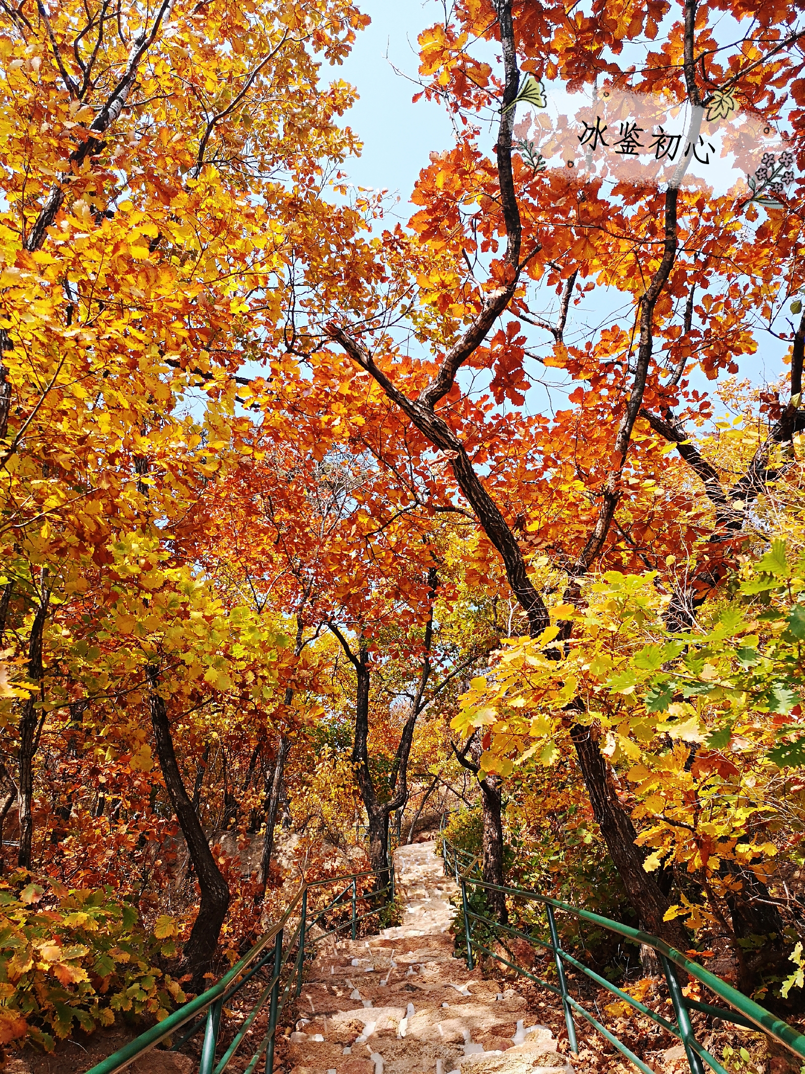 辽东第一山,辽东第一山是什么山