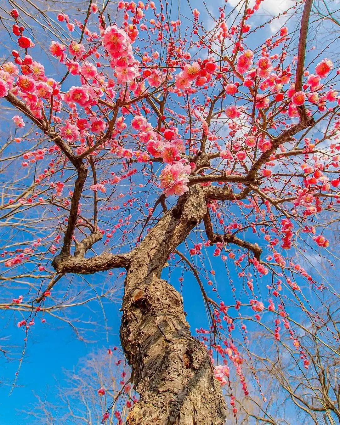 天空美图,天空好看的照片