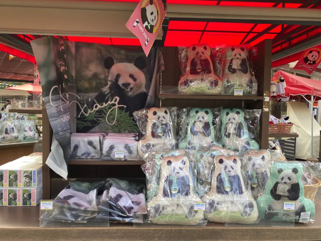 大熊猫香香将启程回国,大熊猫香香最后一天在日本见游客