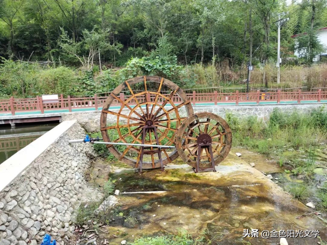 西峡体育馆最新消息,西峡体育