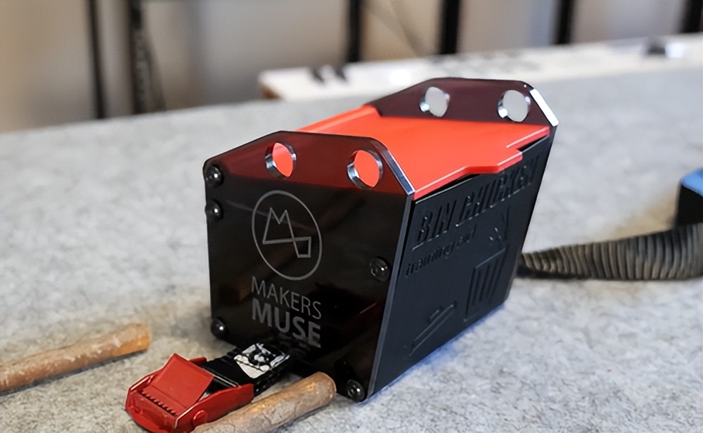 人鸟大战不断升级，想阻止鹦鹉乱翻垃圾桶太难了