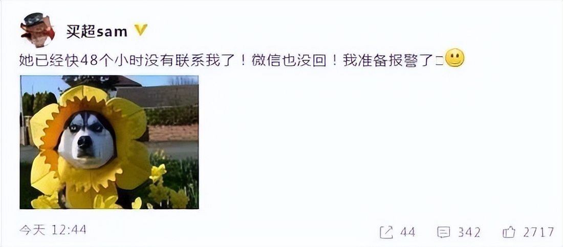 空壳太太张嘉倪,张嘉倪现状秦岚