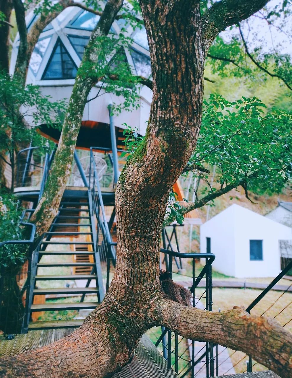 宁波意大利童话小镇,隐藏在大山里的童话小镇