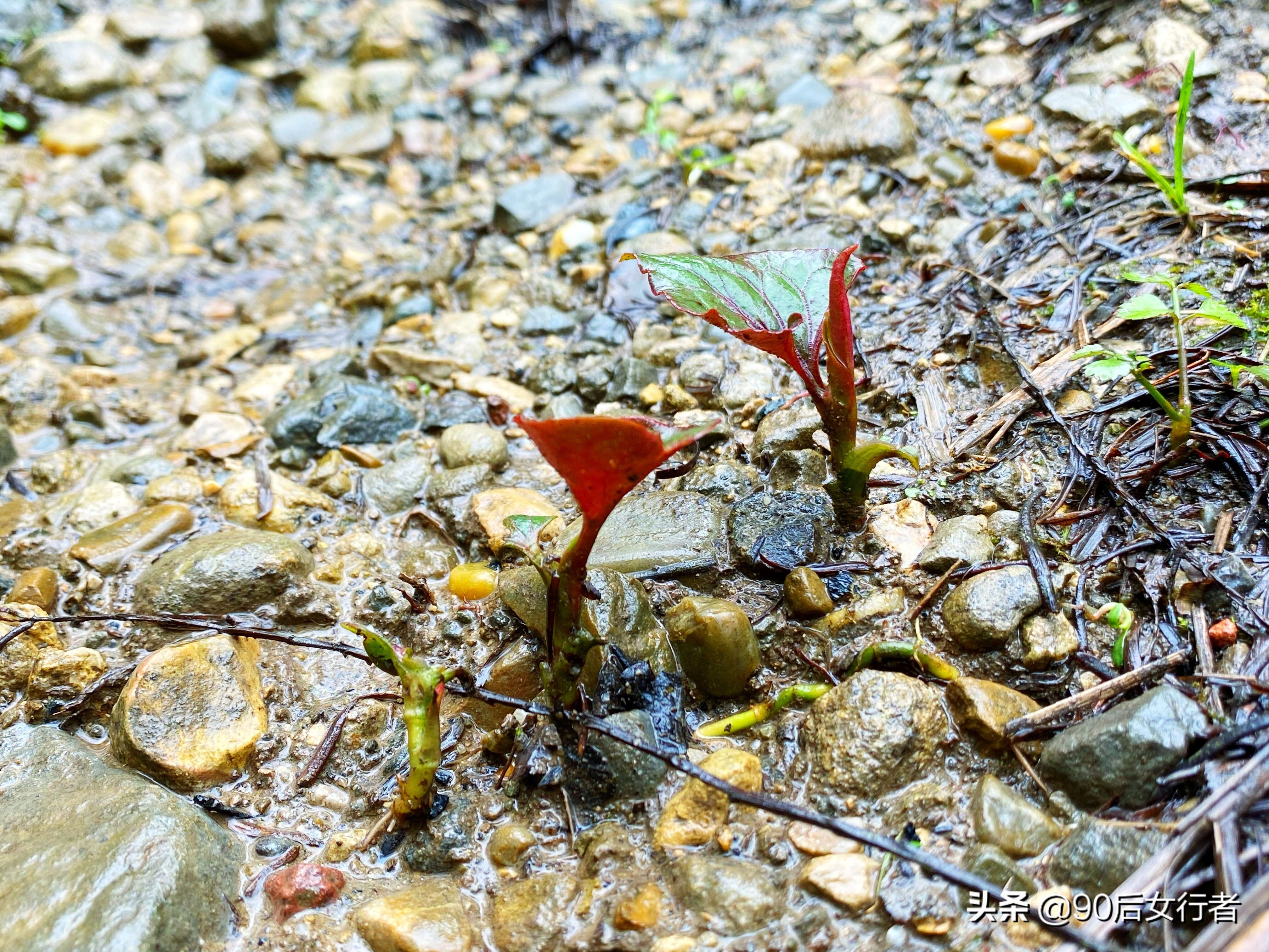 雨天徒步十里长山凹,走进大自然翻山越岭户外徒步