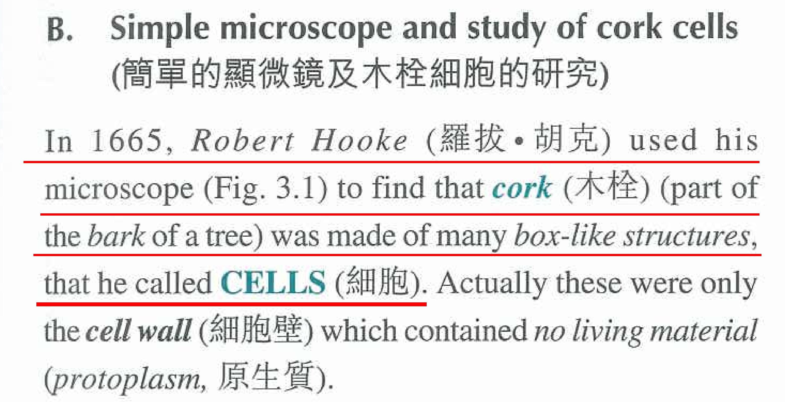 背单词徒增烦恼识词源外语学习真简单